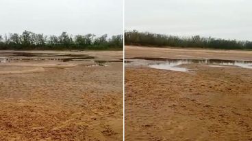 El nivel del agua en el Paraná cayó hasta la marca de 15 centímetros.