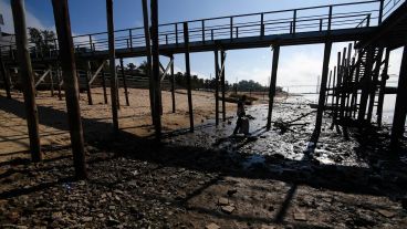 Postales de la bajante: costas más amplias, desmoronamientos, el Paraná viejo seco.