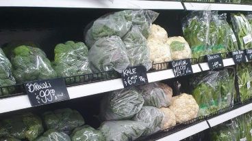 La secretaría de Control y Convivencia deberá fiscalizar y sancionar a quienes no cumplan con la ordenanza.