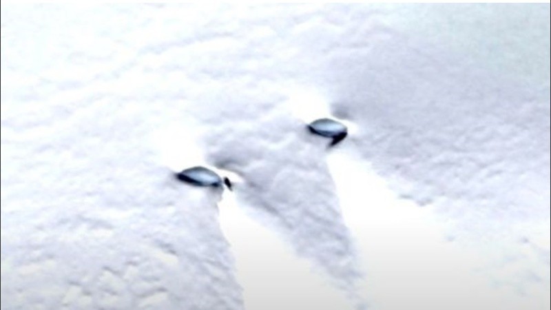 Los indicados como platillos voladores son apenas visibles en la nieve.