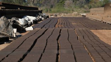 Adobes secándose al sol.