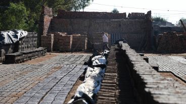 Un trabajo al aire libre que demanda mucho tiempo.