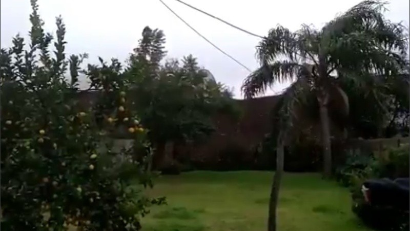 Las imágenes de aficionados registrando los primeros minutos de la nevada de Villa Cañás.