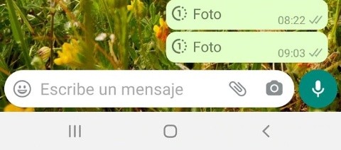 Las fotos y videos que se borran después de ser vistos llegaron a WhatsApp  | Rosario3