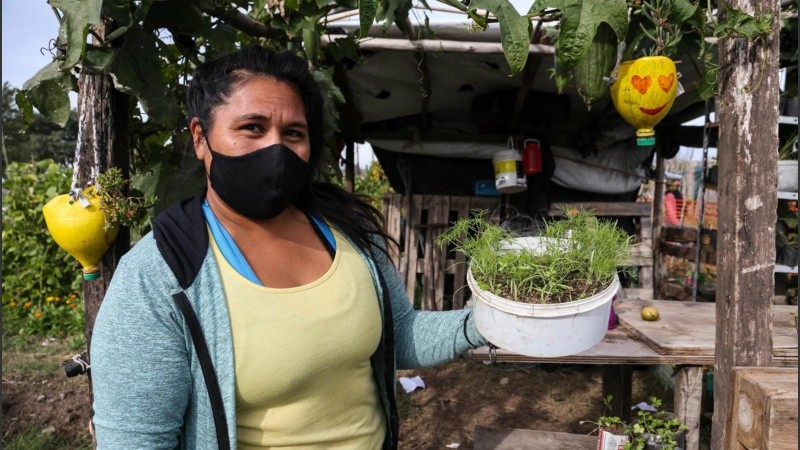Las ferias de huerteros funcionan en distintas plazas y espacios públicos de la ciudad.