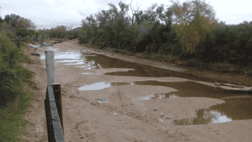 La zona del Charigüe seca por la bajante y el sobredragado que no ayuda.