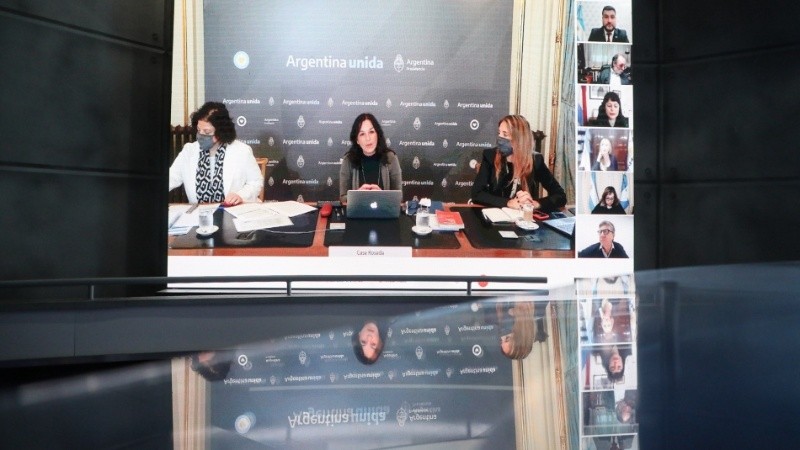 Vizzotti, Ibarra y Nicolini en la reunión virtual con la comisión bilateral.