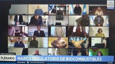 Senadoras y senadores se pusieron de pie y realizaron un homenaje a Carlos Reutemann en la sesión virtual.