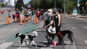 ¿Muchas personas prefieren tener perros y gatos antes que hijos?