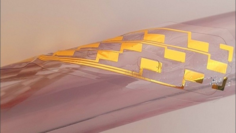 Una vez colocado, el dispositivo se expande para cubrir una amplia área de la médula espinal. (Departamento de Ingeniería de Cambridge)