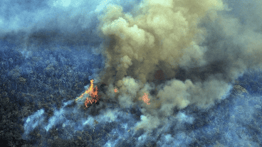 La deforestación y la degradación de los bosques reducen la capacidad de la Amazonia.