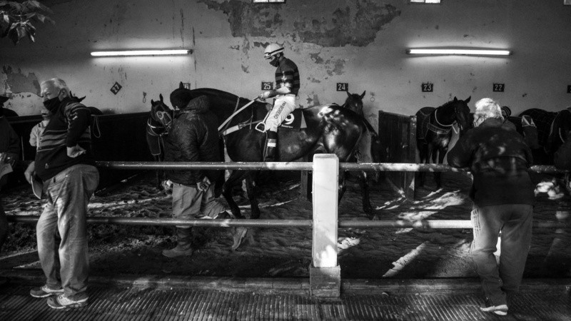 Fueron 10 las carreras que se pudieron disfrutar este jueves en el regreso a la actividad del hipódromo de Rosario. 