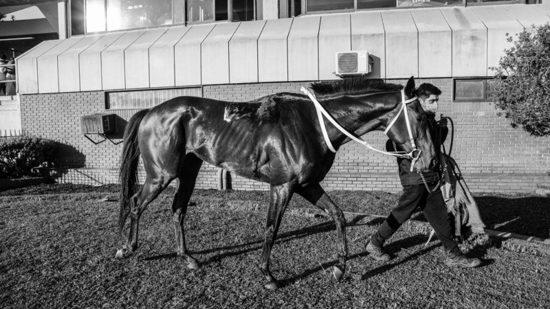 Fueron 10 las carreras que se pudieron disfrutar este jueves en el regreso a la actividad del hipódromo de Rosario. 