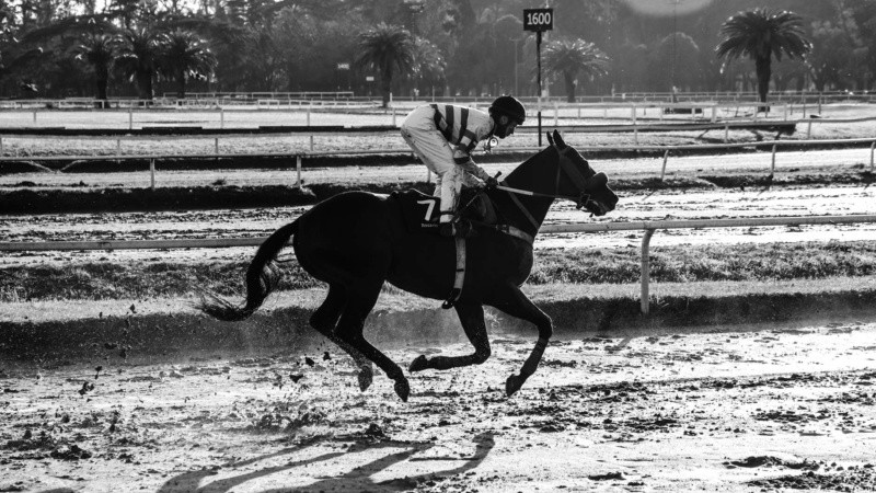 Fueron 10 las carreras que se pudieron disfrutar este jueves en el regreso a la actividad del hipódromo de Rosario. 