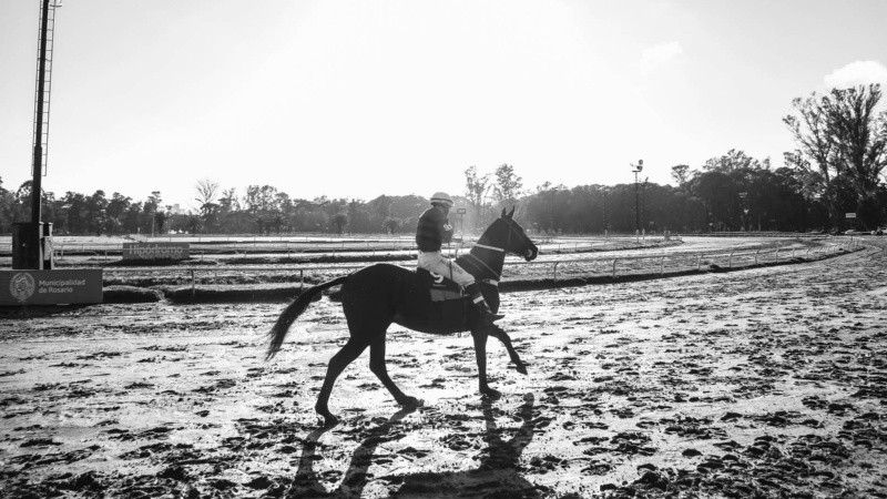 Fueron 10 las carreras que se pudieron disfrutar este jueves en el regreso a la actividad del hipódromo de Rosario. 
