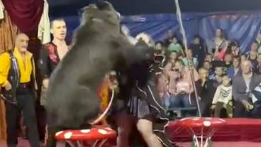 Un portavoz del circo intentó justificar lo ocurrido argumentando que "los osos están en temporada de apareamiento". 