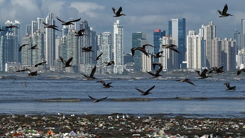 Sólo 380.000 millones de dólares se invirtieron en impulsar energías verdes.