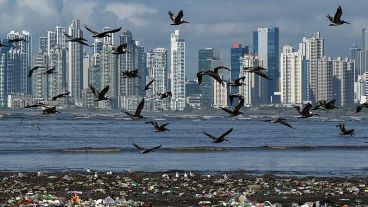 Sólo 380.000 millones de dólares se invirtieron en impulsar energías verdes.