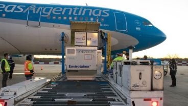 El nuevo vuelo aterrizó este martes en Ezeiza.