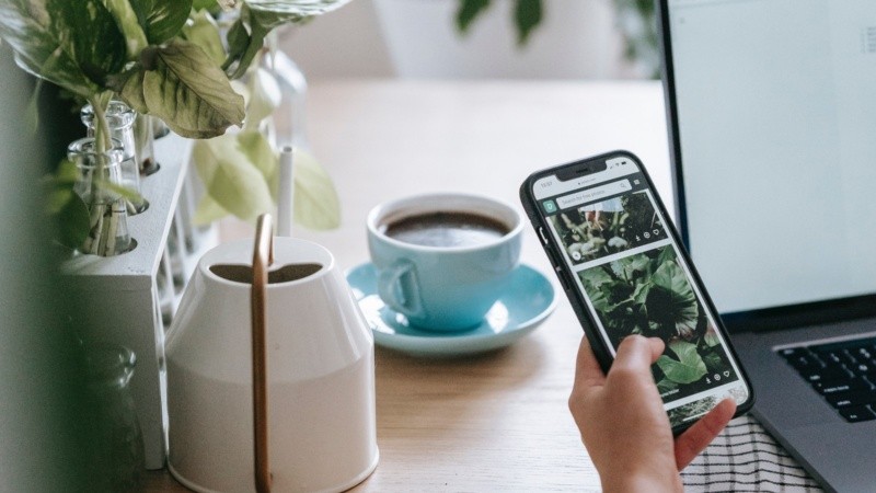 Nuevos 'Gadgets' para facilitar el conocimiento actual sobre las propias plantas