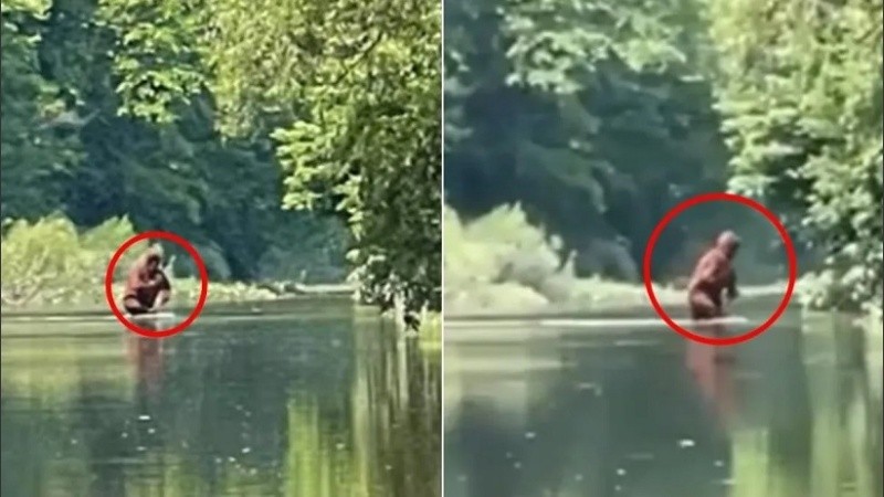 En las imágenes se observa la figura de un ser de grandes dimensiones, que parece llevar algo en sus brazos.