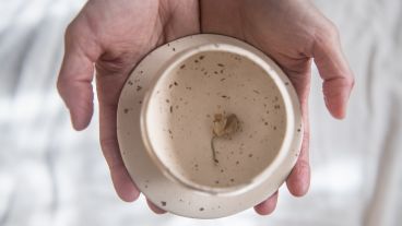 Los objetos estéticos en cerámica cuentan con formas simples, austeras, mínimas