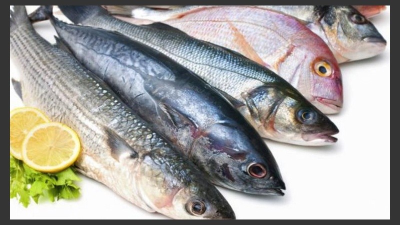 Precios por kilo que van de 330 a 900 pesos.