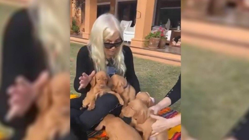 Susana con los cachorros de su perra Rita,