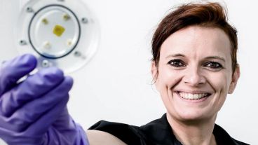 El "blob" apareció en la Tierra hace más de 500 millones de años.