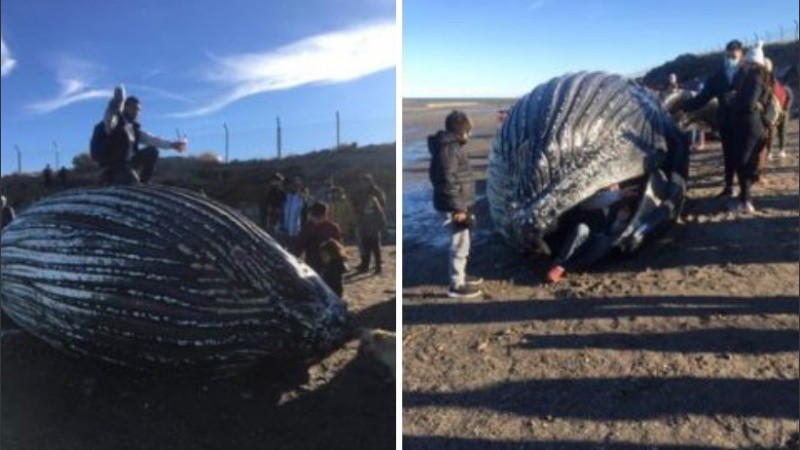 Las imágenes generaron indignación en las redes.