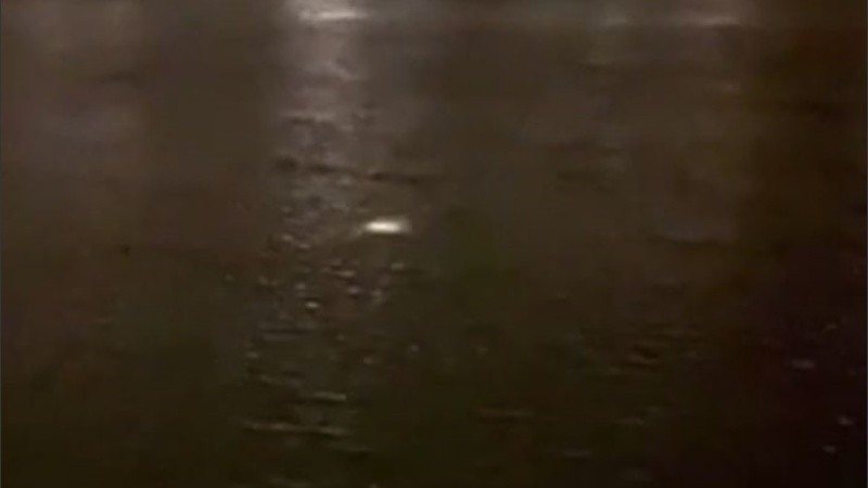 El video se convirtió en viral de manera inmediata.