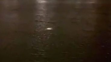 El video se convirtió en viral de manera inmediata.