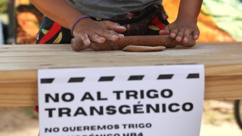 La feria y acto de reclamo se realizó este martes en la plaza San Martín.