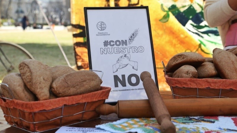 La feria y acto de reclamo se realizó este martes en la plaza San Martín.