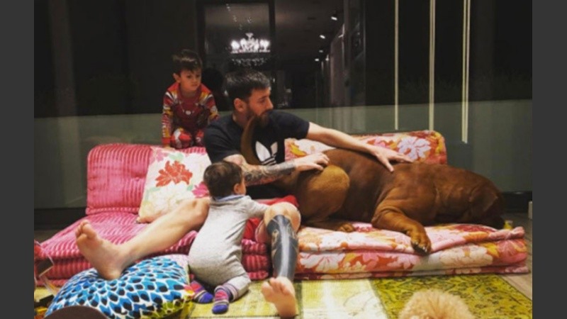 Hulk es una recurrente estrella del Instagram de Messi, que llegó en 2016 como un regalo para Lionel de parte de Antonela.