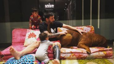 Hulk es una recurrente estrella del Instagram de Messi, que llegó en 2016 como un regalo para Lionel de parte de Antonela.