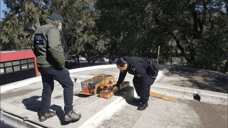Los agentes tuvieron que trabajar sobre la terraza para desconectar los cables y retirar la pirotecnia.
