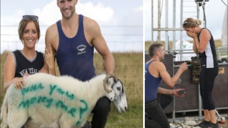 Michael consiguió que un amigo ayudara a pintar a la lana de oveja.