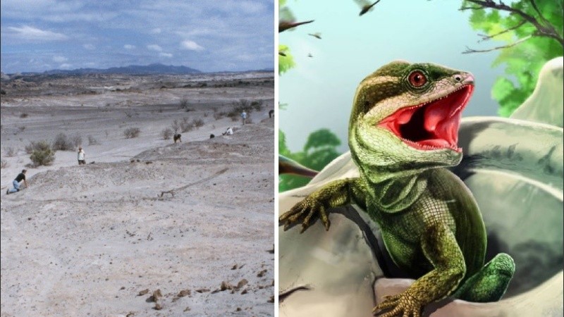 Es el primero de su tipo encontrado en el hemisferio sur.