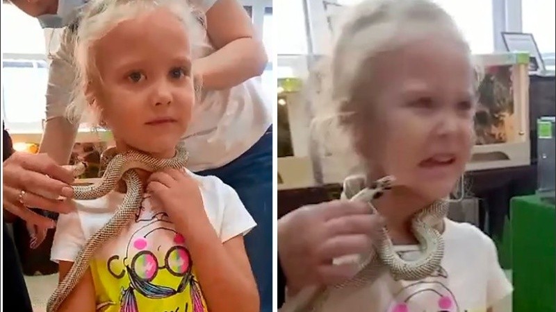 Viktoria había tocado a las gallinas antes del ataque.