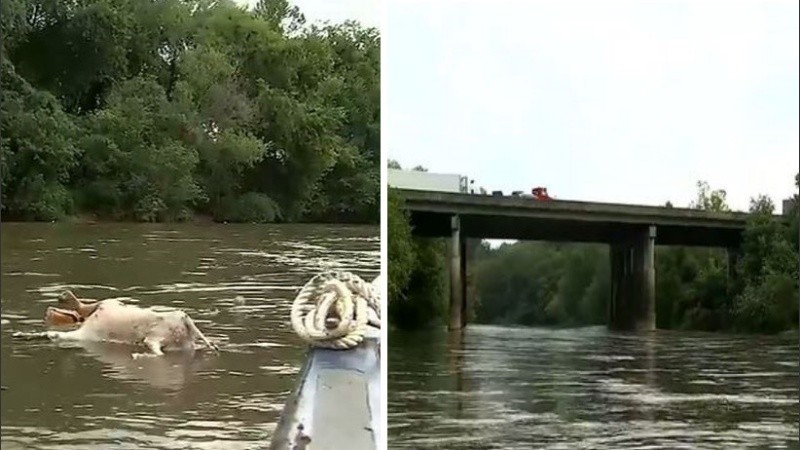 Los extraños sacrificios están ocurriendo a plena luz del día.