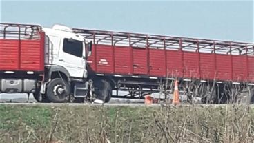 Los camiones bloqueaban la calzada en horas de la tarde.