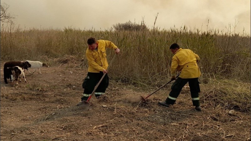 Brigadistas trabajan para combatir los incendios registrados en el Delta del Paraná.