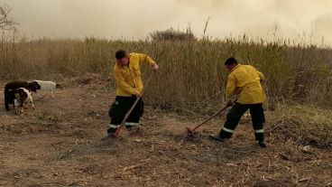 Brigadistas trabajan para combatir los incendios registrados en el Delta del Paraná.