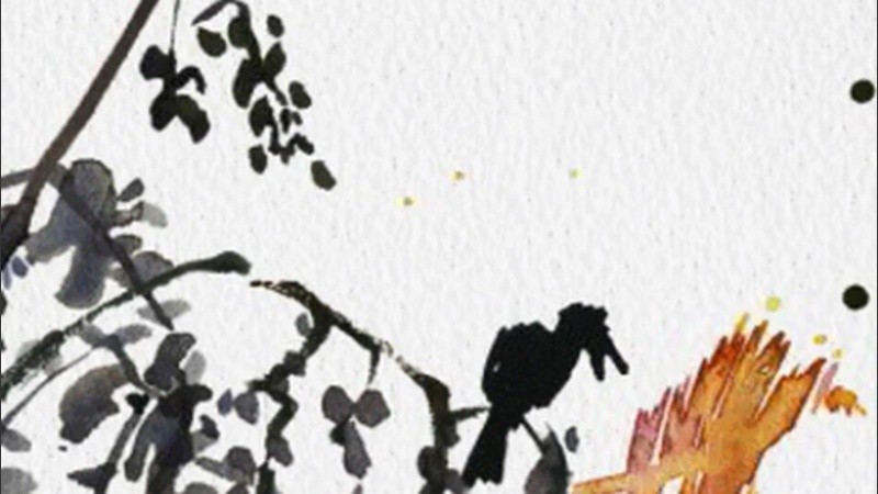 A pesar de la garúa finita, los pájaros se hacen sentir desde temprano. 