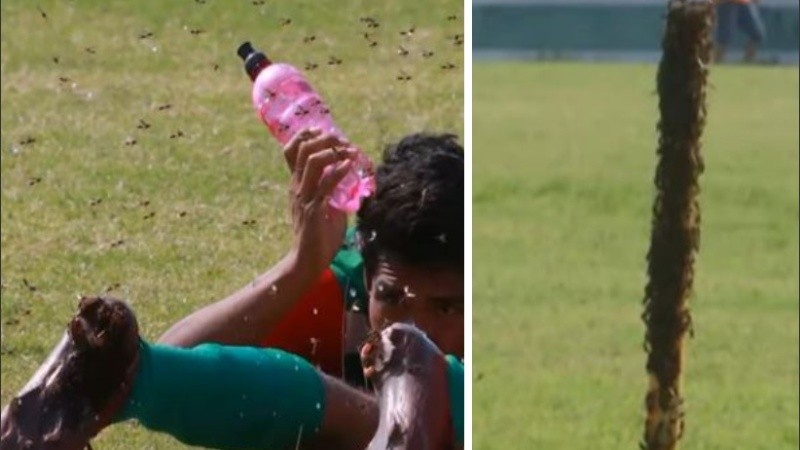 Muchos futbolistas se vieron urgidos a buscar refugio para no ser picados.