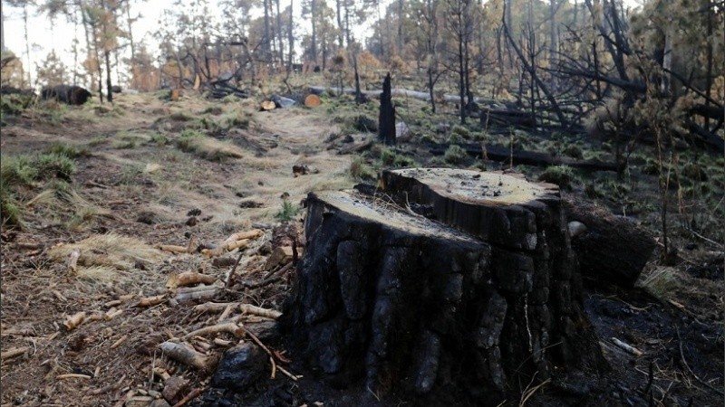 La crisis climática se está profundizando más rápido de lo previsto.