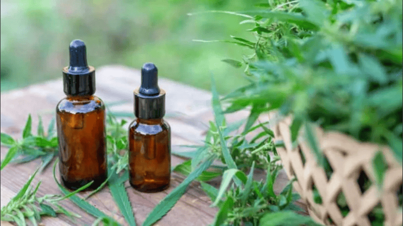 La propuesta busca, entre otras cosas, enseñar las propiedades terapéuticas del aceite de cannabis.