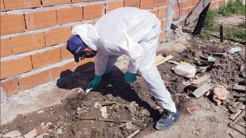 En el lugar también se tomaron muestras para analizar en el laboratorio Biológico.