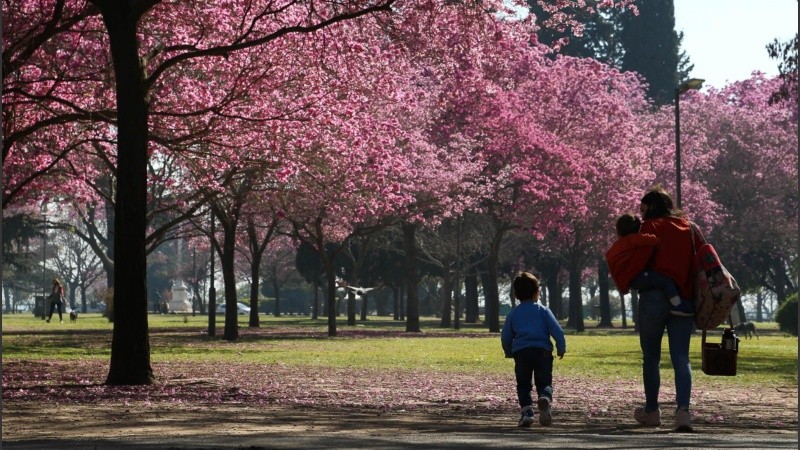 El cambio de estación se empieza a hacer sentir en el clima.